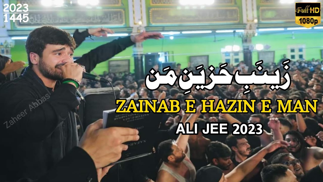 Zainab E Hazin E Man Ali Jee Ali Shanawar Nadeem Sarwar Aza