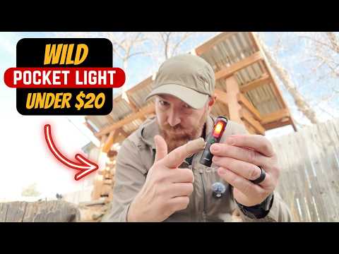 Why Is No One Telling You About This Light?