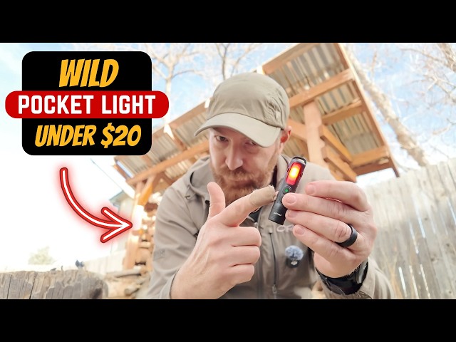 Why Is No One Telling You About This Light?