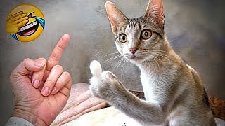 The FUNNIEST Pets Around The World 🌍 | Family Friendly Videos #2