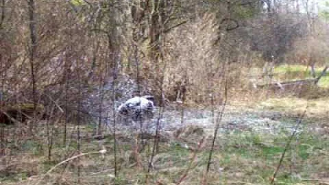 .22 LR vs. .22 Magnum