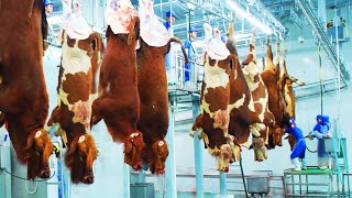 Fattening Cow Farming Equipment & Technology  Cattle Slaughter & Processing Line In Factory