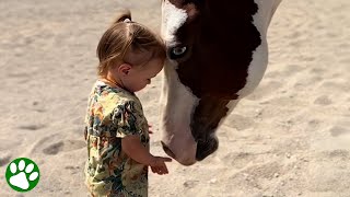 Twoyearold horse whisperer