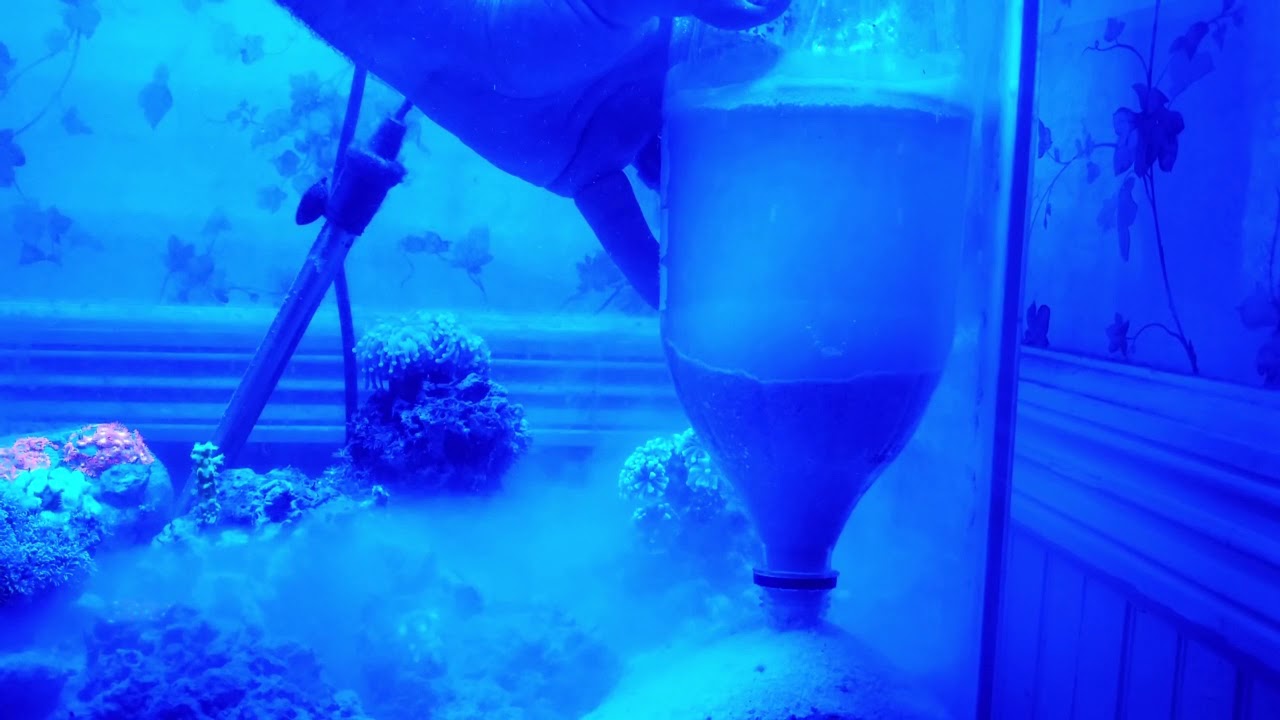 Adding More Sand Without The Cloudy Mess In Your Reef Tank YouTube
