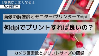 【写真がうまくなる】画像の解像度とモニター/プリンターのdpi「何dpiでプリントすれば良いの？」～カメラ画素数とプリントサイズの関係～