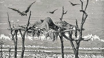 Gràtfall - Thanatopsis (Full EP Premiere)