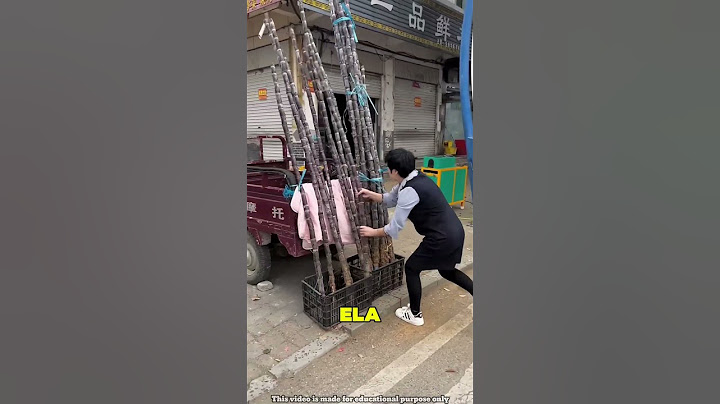 Fingiram uma Briga para Roubar a Mercearia 😲❤️🤣