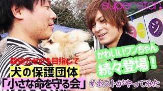 ホストが保護犬たちと触れ合い癒される！【superstar】ペット保護団体の取材をやってみた④