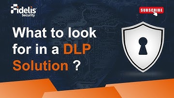 What should you look for in a DLP solution?