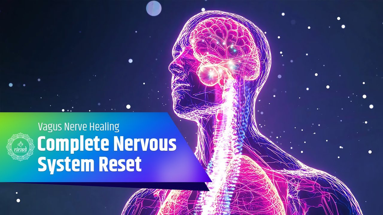 Complete Nervous System Reset | Vagus Nerve Healing for Peace, Relaxation & Inner Stability