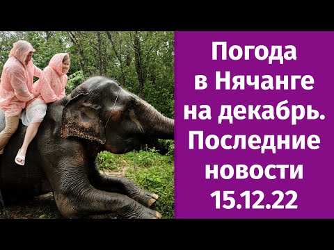 Погода в Нячанге
