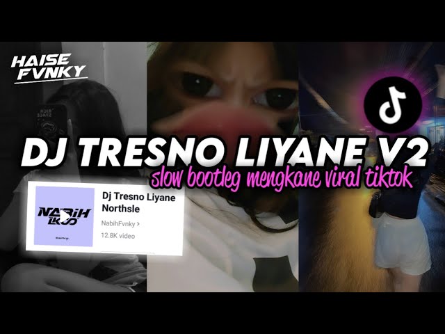 DJ TRESNO LIYANE V2- Enakeunn Viral Fyp TikTok class=