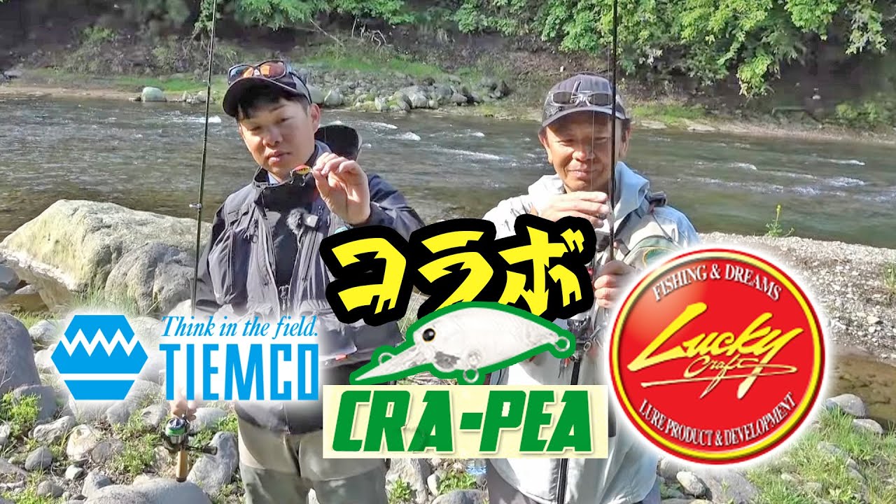 【ラッキークラフト×ティムコ】メーカーコラボ特別企画　ディープクラピー ティムコカラーC&Rモデルで箒川C&Rエリアのレインボー攻略 【トラウトルアー】