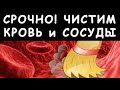 ПРОСТЕЙШИЙ СПОСОБ ПОЧИСТИТЬ КРОВЬ, ЛИМФУ И ВОССТАНОВИТЬ  ПЕЧЕНЬ (НУТРИЦИОЛОГИЯ №8)