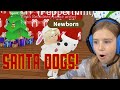 Trading ONLY Santa Dogs in Roblox Adopt me!!