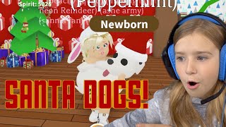 Trading ONLY Santa Dogs in Roblox Adopt me!!