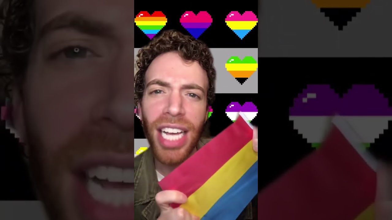 THE PANSEXUAL FLAG Subscribe For Every Flag Lgbt Lgbtq Pan Pansexual