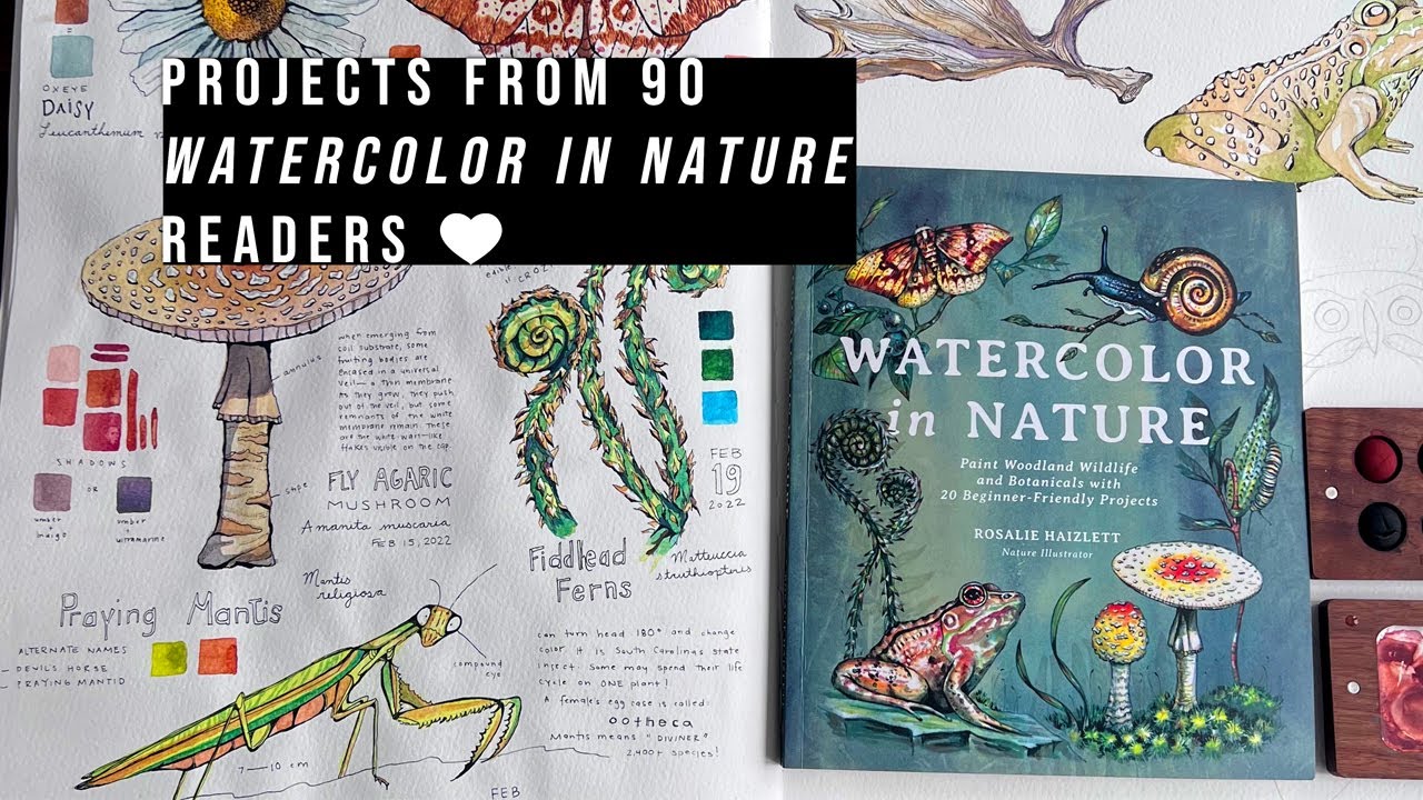 Watercolor in Nature - Autographed Book by Rosalie Haizlett