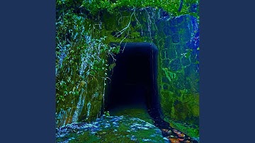 End of Sequence (Wildred Version)