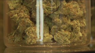 Recreational marijuana sales begin next week. What will the tax revenue look like?