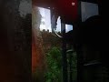 দৃশ্য কেমন
