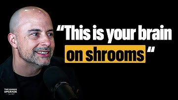 High-Performance Shrooms: The Psychedelic Shortcut to Limitless States