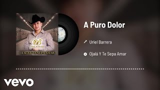 Video thumbnail of "Uriel Barrera - A Puro Dolor (Audio)"