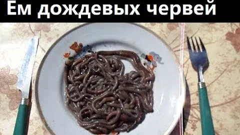 Как есть дождевых червей. Дождевые черви