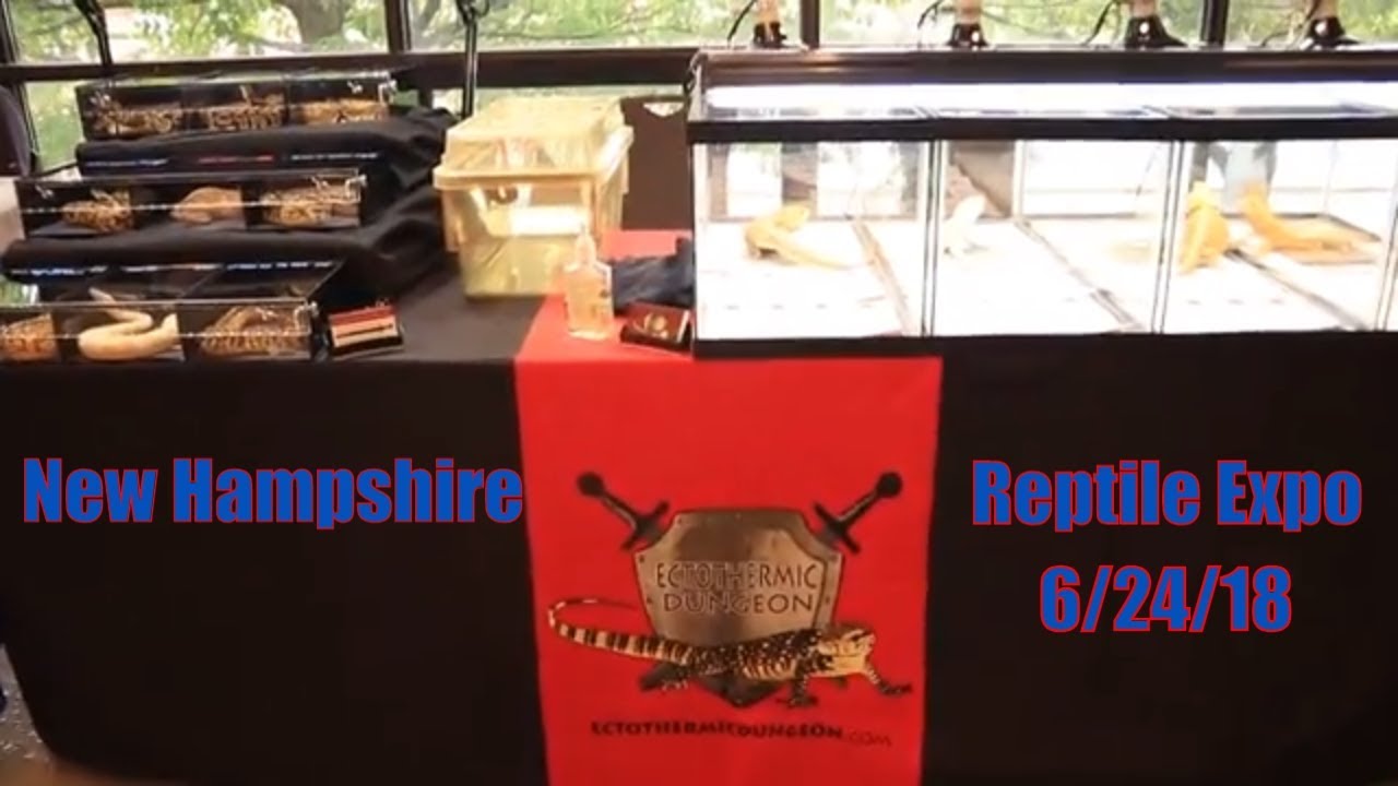 Manchester NH Reptile Expo June 2018 YouTube