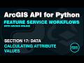 Calculating Attribute Values using the ArcGIS API for Python | ArcGIS Online Feature Services