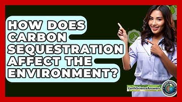 How Does Carbon Sequestration Affect The Environment? - Earth Science Answers