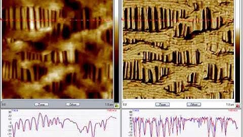Celgard(R), 1um, 23Hz, Perpendicular Mesh Orientation