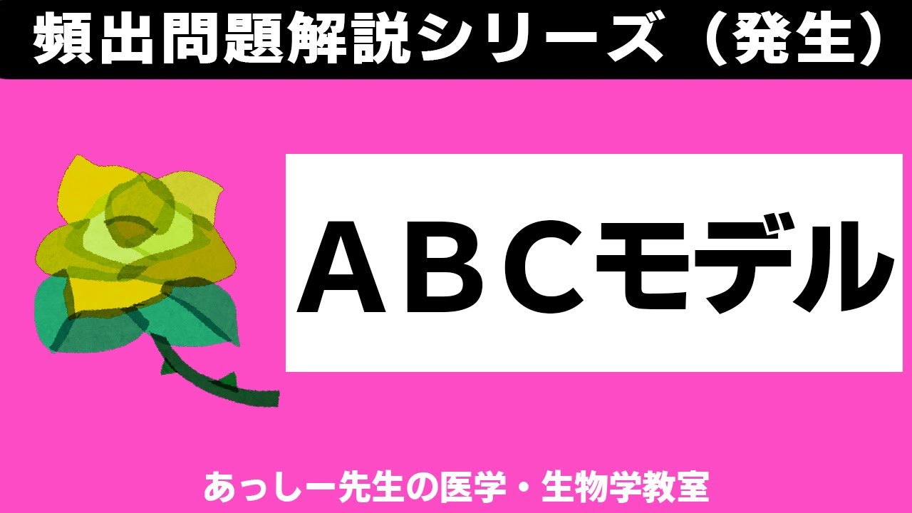 ABCモデル―頻出問題解説シリーズ（発生） - YouTube