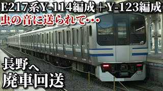 【E217系Y-114編成+Y123編成 虫の音に送られて廃車回送】