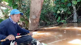 fishing for giant prawns in a calm river|fishing for giant prawns in Kalimantan