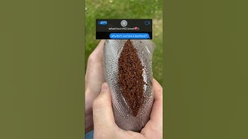 @Plug_Ai Seriously Do NOT Click This Sound 😹😂💯