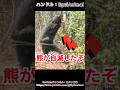 なんとクマが自滅しているぞ！！#熊 #animals #動物 #おもしろ