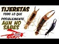 TIJERETAS - TODO LO QUE POSIBLEMENTE AUN NO SABES