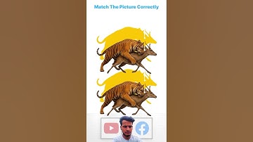 Match the Hunting with Their Shadows Challenge | Test Your Observation Skills Now! #short #shorts