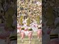 阿呆連 阿波おどり2025 阿波踊り #shorts