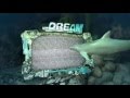 Dream Dance Alliance - Freak Out (Official Video HD)