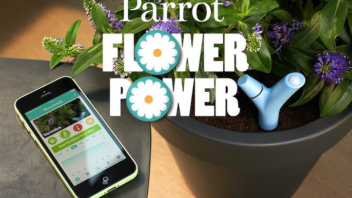 Test Parrot Flower Power : le capteur de plante pour jardinier 2.0