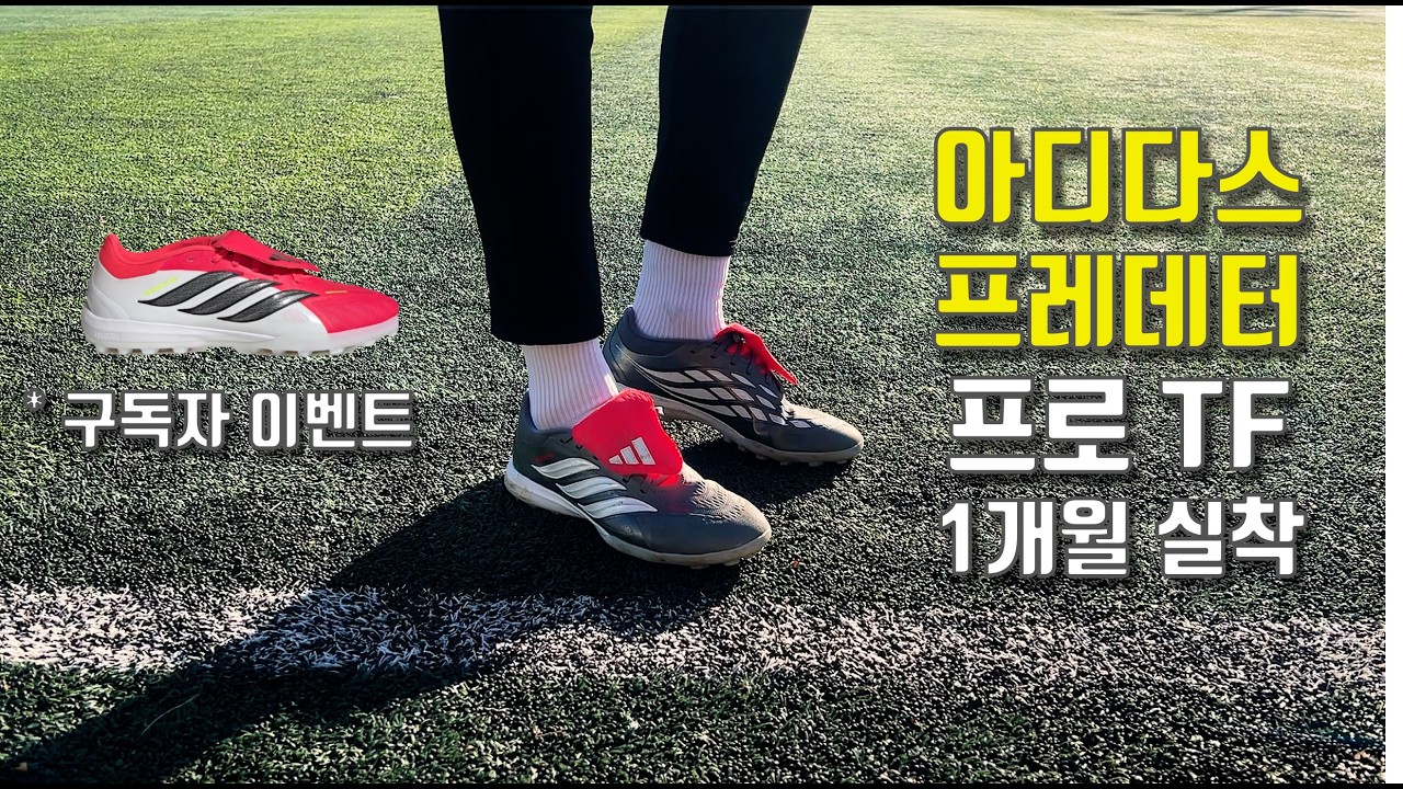 아디다스에서 제 얘기를 들어줬습니다!  - 프레데터 26 프로 TF 1개월 실착 리뷰