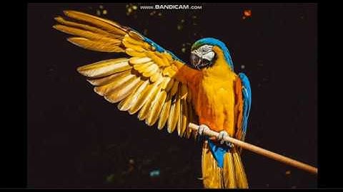 Belajar Penggunaan Logika If Else Vb.Net (Microsoft Visual Studio 2010)