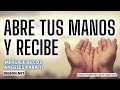 🕑¡ES HORA DE RECIBIR!💌MENSAJE DE LOS ÁNGELES PARA TI - DIGEON -ARCÁNGEL CHAMUEL💗