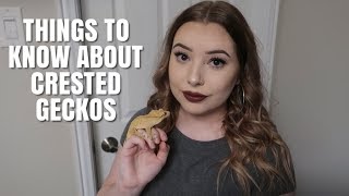 WATCH THIS BEFORE GETTING A CRESTED GECKO!