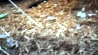 Embalse: alud 24/11/2009 (cuarta parte)