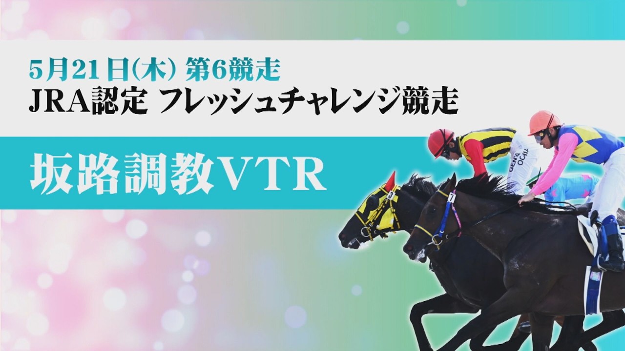 【坂路調教動画】5/21 第6Rフレッシュチャレンジ競走【門別競馬】
