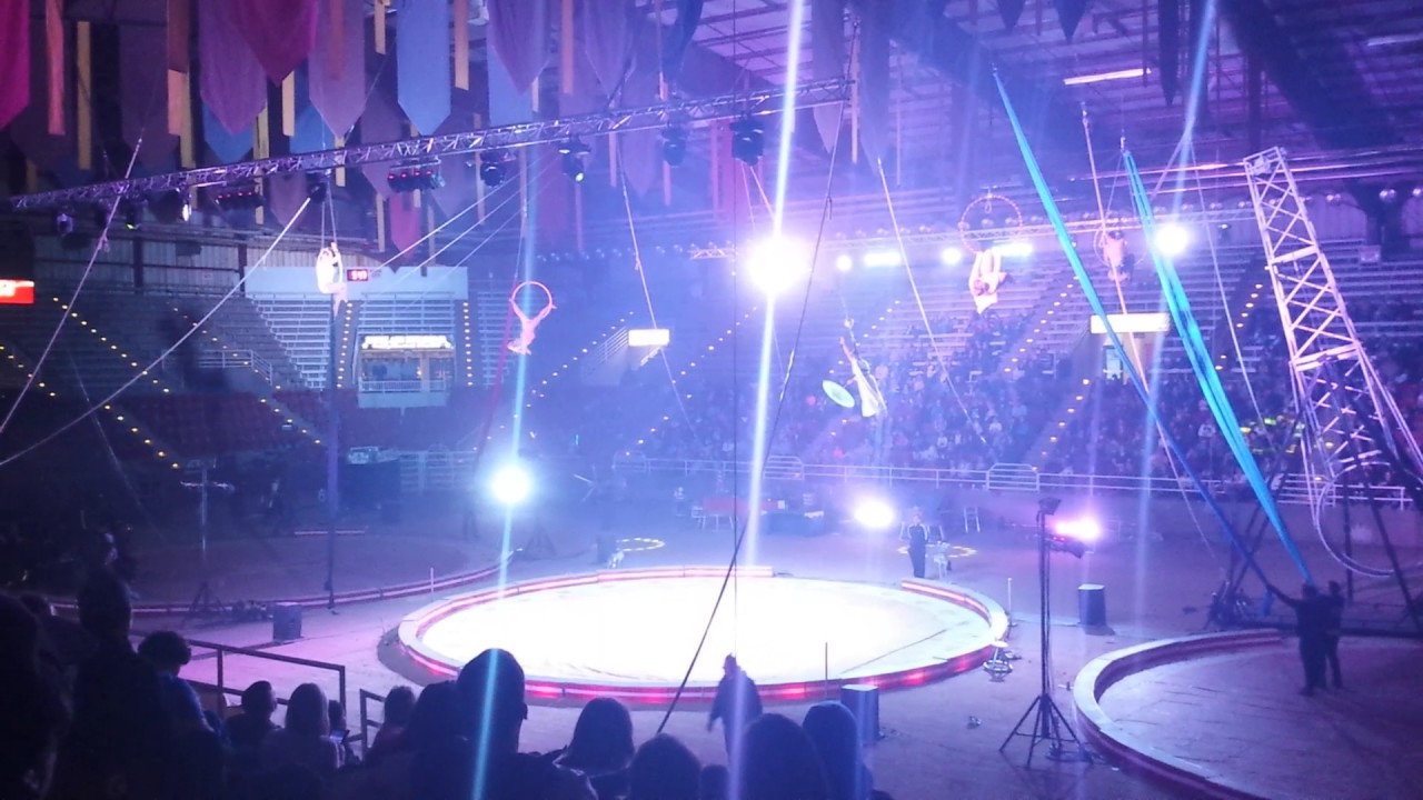 Jordan World Circus! Tigers and more YouTube