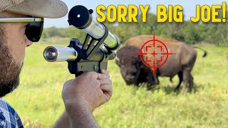 I Had To Shoot My Bison!